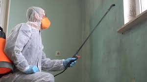 Mold Prevention & Removal